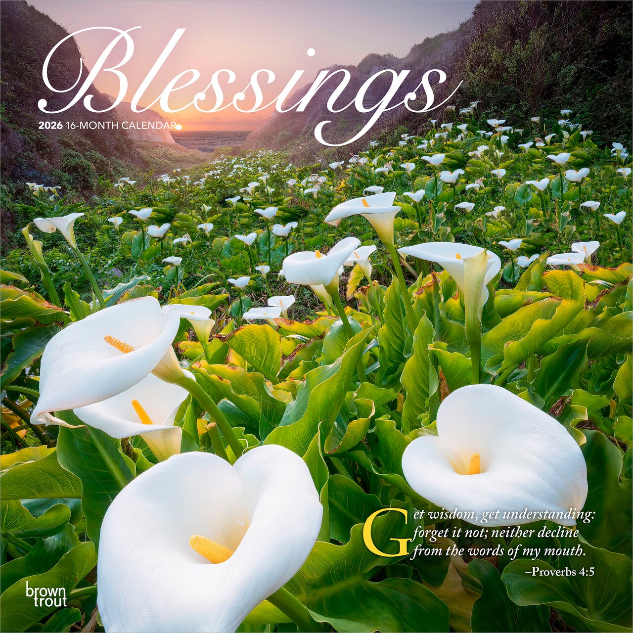 Blessings | 2026 12 x 24 Inch (Hanging) Monthly Square Wall Calendar | Plastic-Free